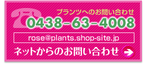 ご予約/お問い合わせはこちら