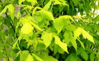 img_crg_12