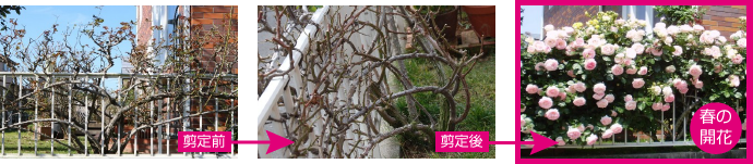 木更津市S様